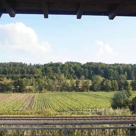 Apartment 100 Qm 1 - Near Highway Gleisdorf